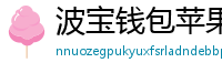 波宝钱包苹果版下载